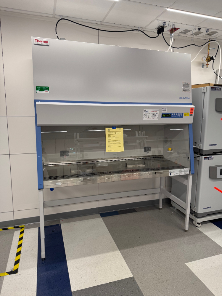 Image of Thermo 1300 Series A2 6' Biosafety Cabinet